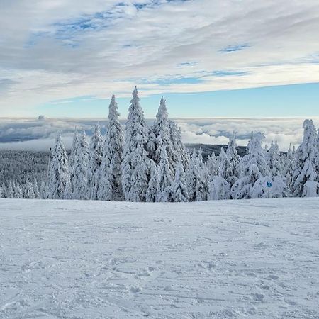 Chata Jeleni Drevenice S Vlastni Virivkou Horni Halze Luaran gambar