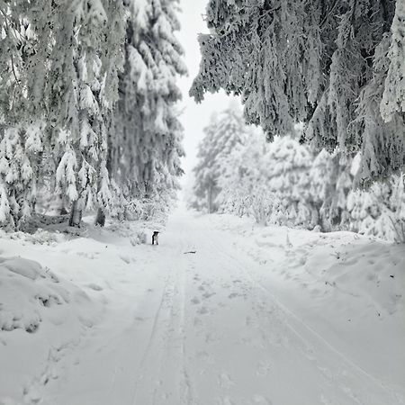 Chata Jeleni Drevenice S Vlastni Virivkou Horni Halze Luaran gambar
