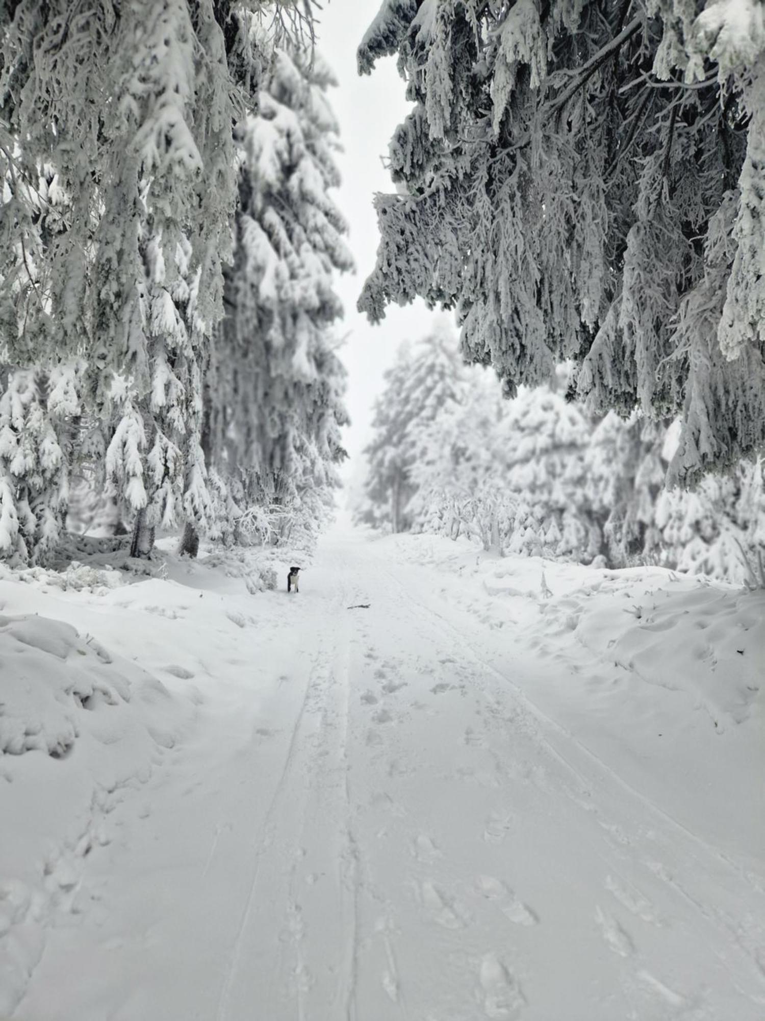 Chata Jeleni Drevenice S Vlastni Virivkou Horni Halze Luaran gambar