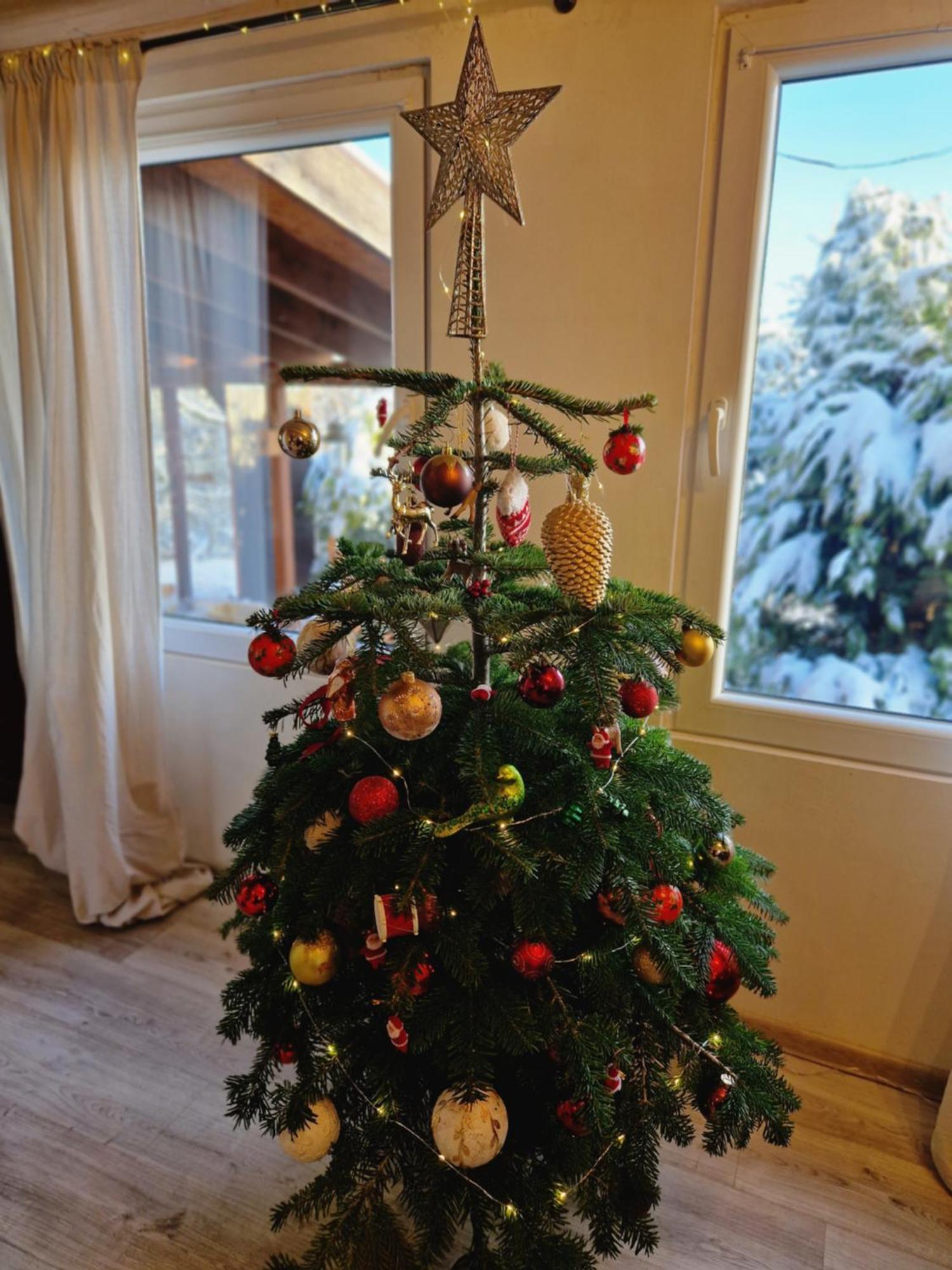 Chata Jeleni Drevenice S Vlastni Virivkou Horni Halze Luaran gambar